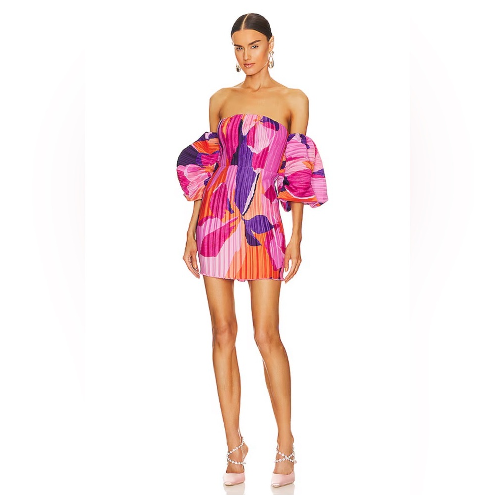 NWT Never worn (missed return window) Sirene Mini Dress in Capri Small